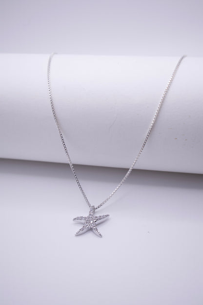 Star Fish