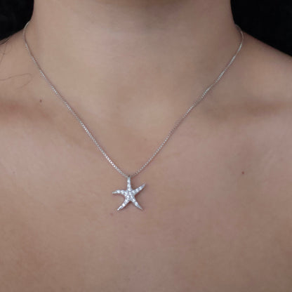 Star Fish