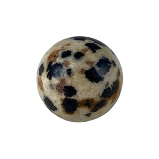 Dalmation